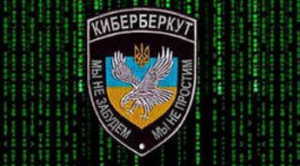 Киберберкут приговор