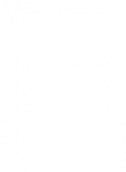 Белая Книга нарушений прав человека и принципа верховенства права на Украине (Ноябрь 2013 — Март 2014)