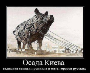 Как галицкая саранча уничтожает Киев и киевлян