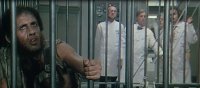 Украина находится под внешним управлением. Геополитические амбиции США