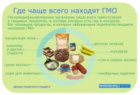 Госдума может приравнять производителей ГМО-продукции к террористам
