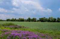 Вставай Донбасс!!!