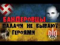 Бандформирования фашистской хунты атаковали больницу и расстреляли раненых в больнице населенного пункта Приволье на севере Луганской области