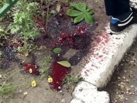 Под Луганском каратели убили 4 и ранили 16 человек