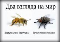 Два монолога-без диалога.
