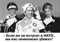 «Батькивщина» намерена провести 15 июня референдум о вступлении Украины в НАТО