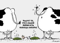 Счастливый выбор Украины