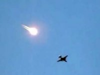 Птичку не жалко