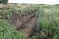Балута заразился от Таруты.Окопная болезнь-заразная.
