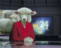 К барьеру. Украинская версия