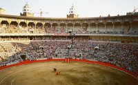 Испания: арену для корриды в Барселоне превратят в мечеть