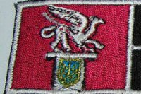 "Грифон" осадил автобусы "Правого сектора" в Кировограде