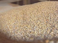 Украина отказалась от региональных резервов зерна