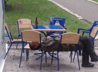 Украинский симбиоз