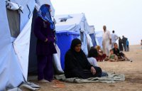 ООН: число вынужденных переселенцев в Ираке превысило 1,2 млн человек