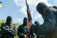 Заблокированные бандеровцы съели всех бродячих собак в аэропорту Луганска