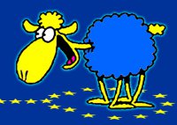 Жить своим умом