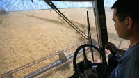 Крым начал экспорт зерна в Саудовскую Аравию и на Кипр