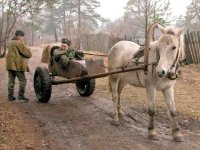 Украинская армия начинает испытывать дефицит боевого духа