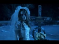 Молчание волчат