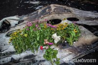 Тела 196 погибших найдены на месте падения малайзийского Boeing