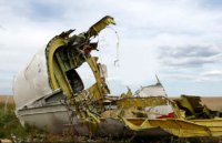 LifeNews заплатит 100 тысяч долларов за правду о крушении "Боинга"