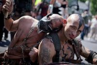 Маски бьют бравых нацгеевцев!