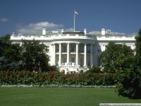 Из-за сбоя США приостановили выдачу виз по всему миру