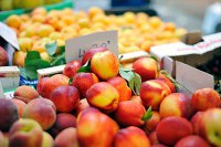 Россельхознадзор задумался о запрете на импорт греческих фруктов