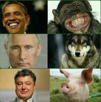 Хочу сказать СПАСИБО украинцам.