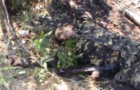 [07.08.14.] Нацисты нашли свою смерть в Новороссии