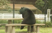 «Беда с этими русскими, все у них не как у людей»