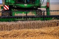 ЕС не готов компенсировать даже десятой части убытков своих производителей