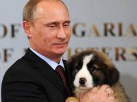 Гуманитарная агрессия Владимира Путина