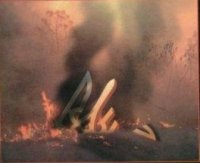 Проект "Украина"