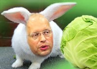 О баснях Хунтостана