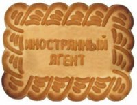 «Солдатские матери Петербурга» признаны иностранным агентом