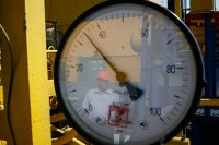 Германия настояла на полном допуске «Газпрома» к трубопроводу OPAL