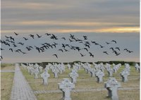 Время выбора.