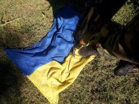 Уничтожено карательное подразделение "Айдар"