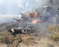 Пушечное мясо Вальцмана