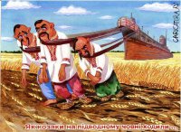 СМИ: на Украине создается добровольческий батальон "Черное море"