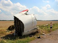 Немецкие детективы предложили 30 млн долларов за информацию о рухнувшем на Украине Boeing