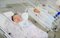 Украинских новорожденных не прививают от туберкулёза уже полгода: Киев запретил российскую вакцину