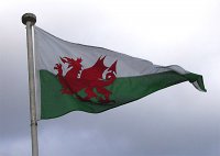 По следам шотландских сепаратистов: Партия Уэльса будет добиваться референдума о независимости