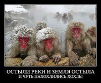 Грядут холода...