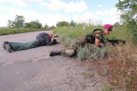 Дмитрий Стешин. Скорбное бесчувствие Европы