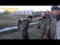 Шустрый и 'боевые слоны Моторолы' (Видео)