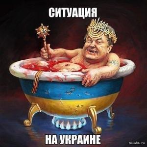 В Госдуме и на Донбассе оценили заявление Порошенко о начале операции объединённых сил