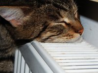 "Киевэнерго": Отопительный сезон в столице может начаться в начале ноября